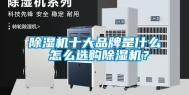 除湿机十大品牌是什么 怎么选购除湿机？