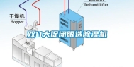 双11大促闭眼选除湿机