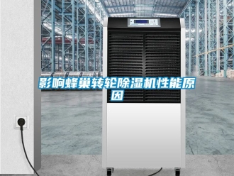 常见问题影响蜂巢转轮除湿机性能原因