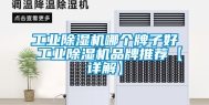工业除湿机哪个牌子好 工业除湿机品牌推荐【详解】