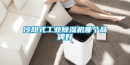冷却式工业除湿机哪个品牌好