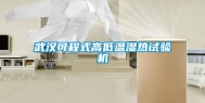 武汉可程式高低温湿热试验机