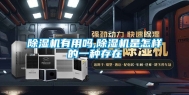 除湿机有用吗,除湿机是怎样的一种存在