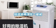 恒湿消毒净化一体机