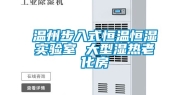 温州步入式恒温恒湿实验室 大型湿热老化房