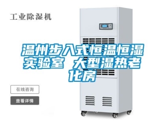 知识百科温州步入式恒温恒湿实验室 大型湿热老化房