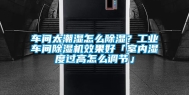 车间太潮湿怎么除湿？工业车间除湿机效果好「室内湿度过高怎么调节」