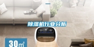除湿机行业分析