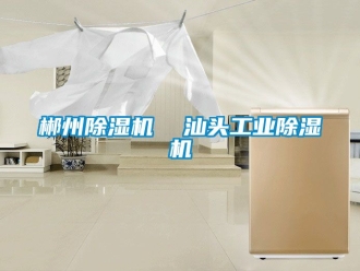 常见问题郴州除湿机  汕头工业除湿机