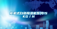 柜机式白色除湿机系列15KG／H