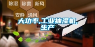 大功率,工业抽湿机,生产