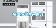 恒温恒湿车间简介
