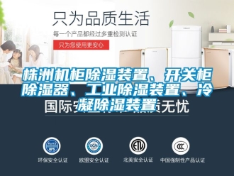常见问题株洲机柜除湿装置、开关柜除湿器、工业除湿装置、冷凝除湿装置