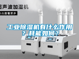常见问题工业除湿机有什么作用？耗能如何？