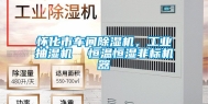 怀化市车间除湿机，工业抽湿机  恒温恒湿非标机器