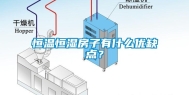 恒温恒湿房子有什么优缺点？