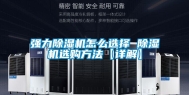 强力除湿机怎么选择 除湿机选购方法【详解】