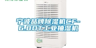 宁波品牌除湿机CF-6.8DT工业抽湿机