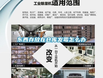 常见问题东西存放在仓库发霉怎么办