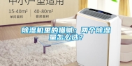 除湿机里的猫腻：两个除湿量怎么选？
