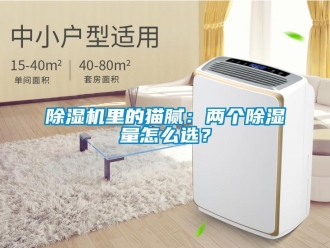 常见问题除湿机里的猫腻：两个除湿量怎么选？
