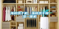 海鲜烘干机，海鲜烘干除湿一体机