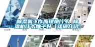 除湿机工作原理是什么 除湿机什么牌子好【详细介绍】