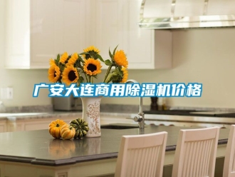 常见问题广安大连商用除湿机价格