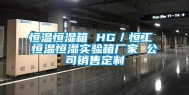 恒温恒湿箱 HG／恒工 恒温恒湿实验箱厂家 公司销售定制