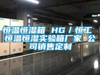 知识百科恒温恒湿箱 HG／恒工 恒温恒湿实验箱厂家 公司销售定制