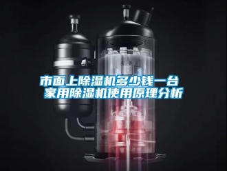 常见问题市面上除湿机多少钱一台 家用除湿机使用原理分析