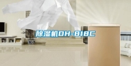 除湿机DH-818C