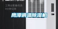鹰潭调温除湿机