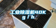 工业除湿机40Kg／h
