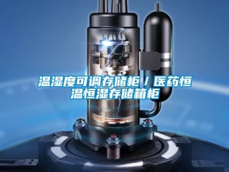 知识百科温湿度可调存储柜／医药恒温恒湿存储箱柜