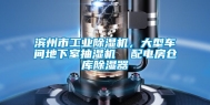 滨州市工业除湿机，大型车间地下室抽湿机  配电房仓库除湿器
