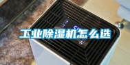 工业除湿机怎么选
