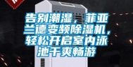 告别潮湿，菲亚兰德变频除湿机，轻松开启室内泳池干爽畅游