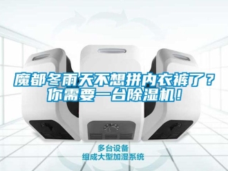 行业新闻魔都冬雨天不想拼内衣裤了？你需要一台除湿机！