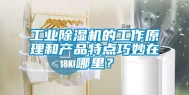 工业除湿机的工作原理和产品特点巧妙在哪里？