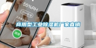 商用型工业除湿机厂家直销