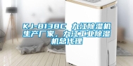 KJ-8138C 九江除湿机生产厂家，九江工业除湿机总代理