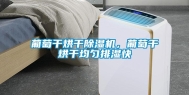 葡萄干烘干除湿机，葡萄干烘干均匀排湿快