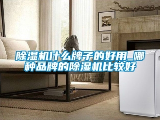 企业新闻除湿机什么牌子的好用_哪种品牌的除湿机比较好