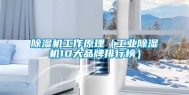除湿机工作原理（工业除湿机10大品牌排行榜）