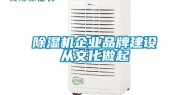 除湿机企业品牌建设从文化做起