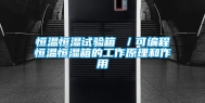 恒温恒湿试验箱 ／可编程恒温恒湿箱的工作原理和作用