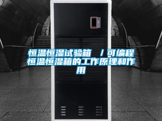 知识百科恒温恒湿试验箱 ／可编程恒温恒湿箱的工作原理和作用