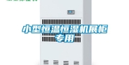 小型恒温恒湿机展柜专用