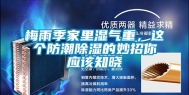 梅雨季家里湿气重，这个防潮除湿的妙招你应该知晓